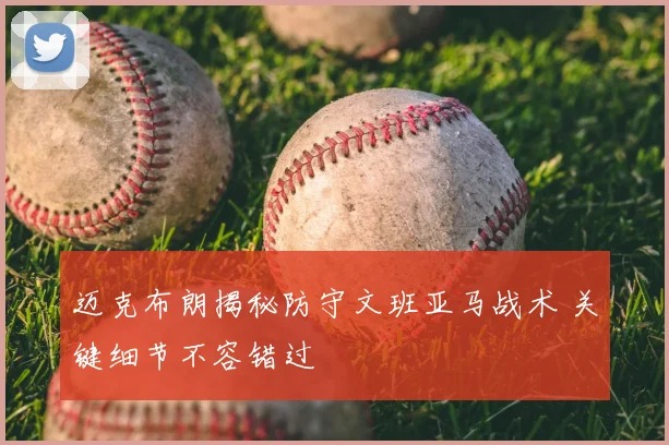 迈克布朗揭秘防守文班亚马战术 关键细节不容错过